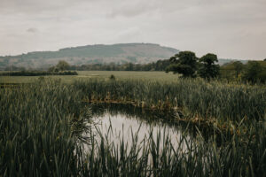 Bashall Barn Wedding Venue Ribble Valley